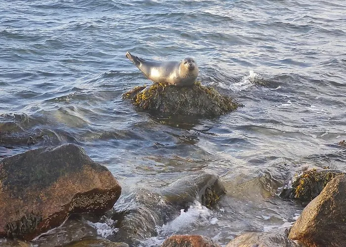 Ferienhaus Karlsminde *